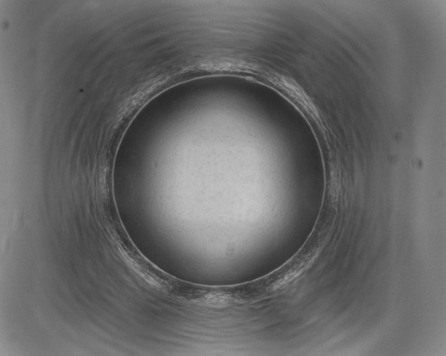 X0000083610441200702260932