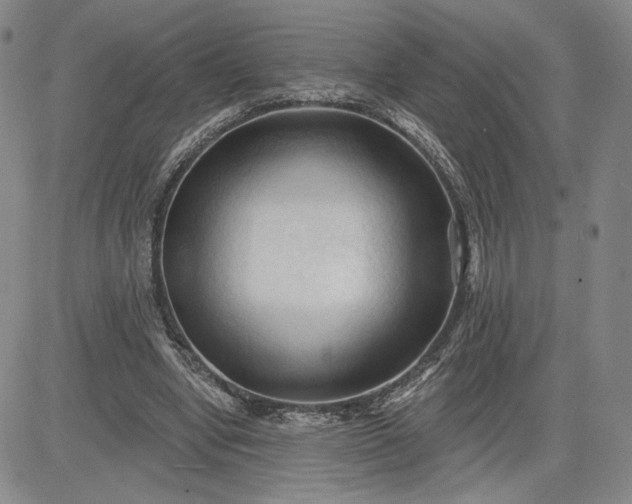 X0000083610442200702260932