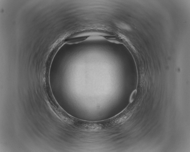 X0000083610443200702260932