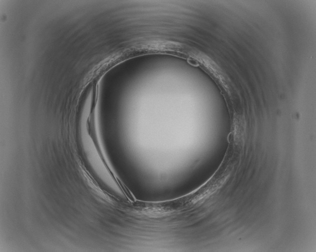 X0000083610445200702260932