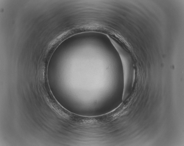 X0000083610446200702260932