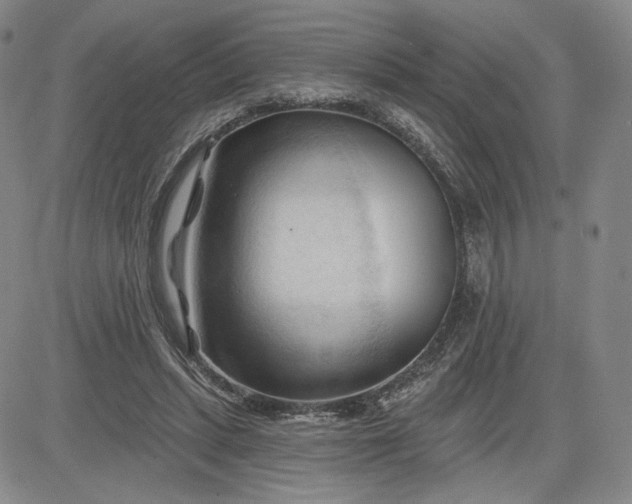 X0000083610447200702260932