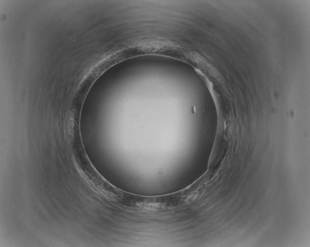 X0000083610448200702260932