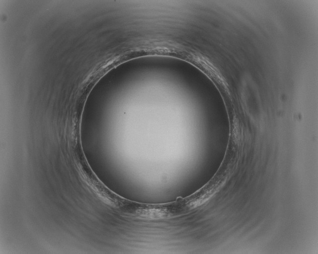 X0000083610449200702260932