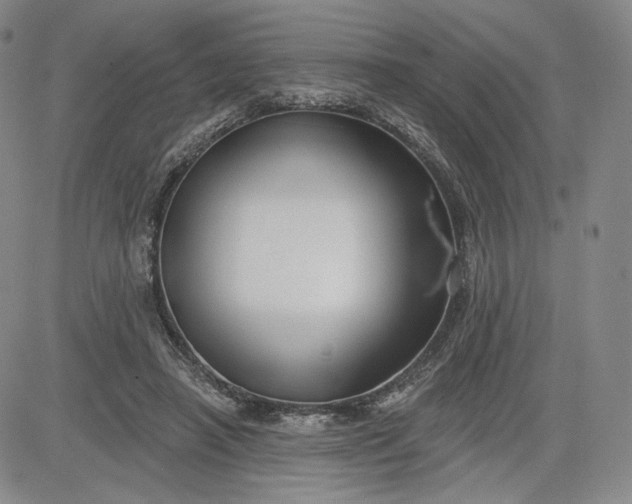 X0000083610450200702260932