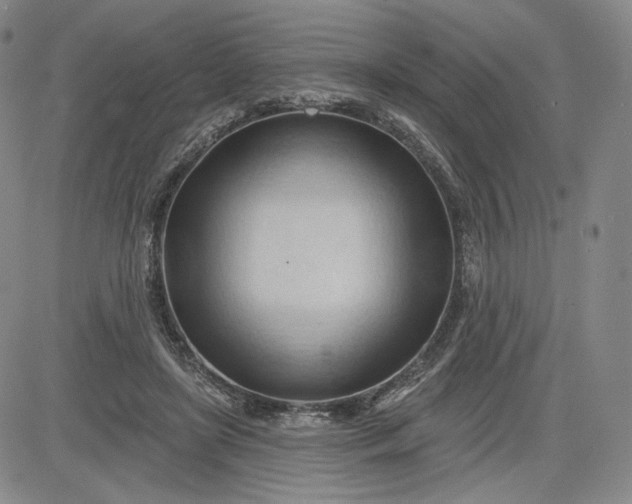 X0000083610451200702260932