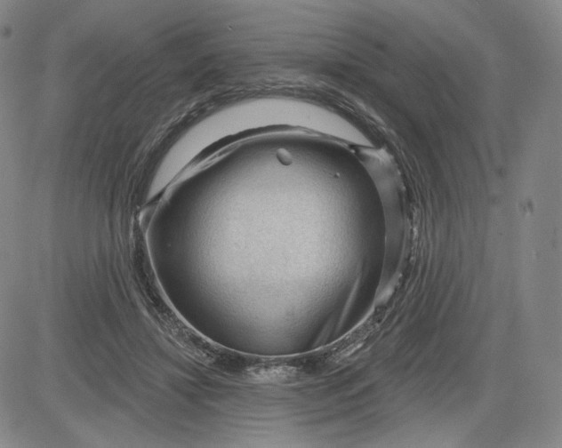 X0000083610452200702260932