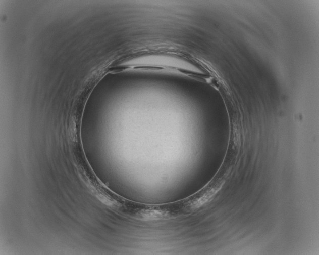 X0000083610453200702260932