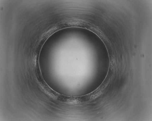 X0000083610454200702260932