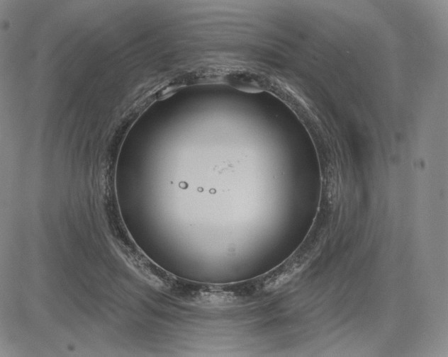 X0000083610455200702260932