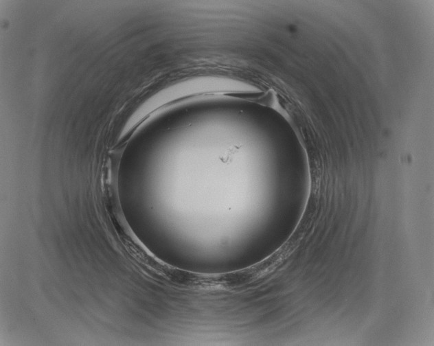 X0000083610456200702260932