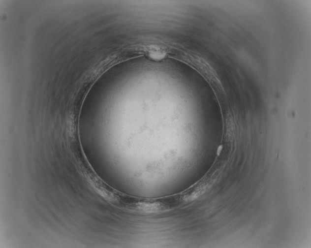 X0000083610457200702260932