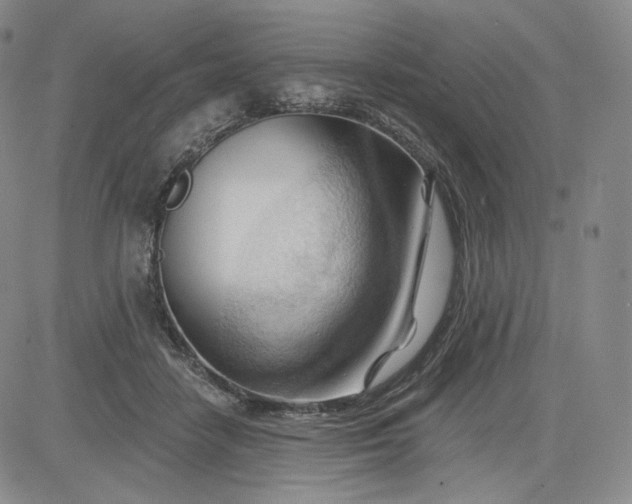 X0000083610458200702260932