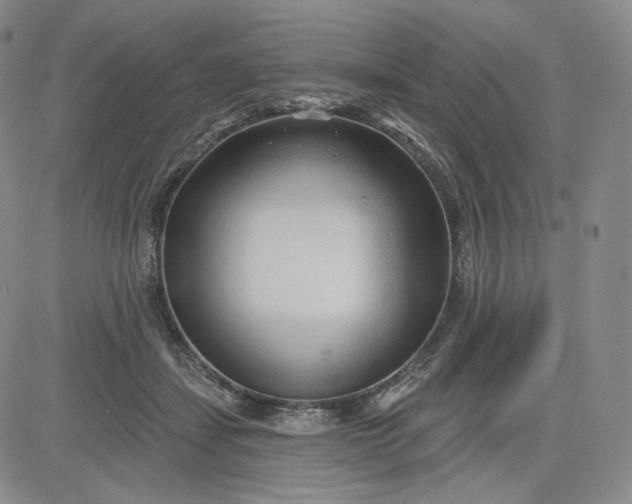 X0000083610459200702260932