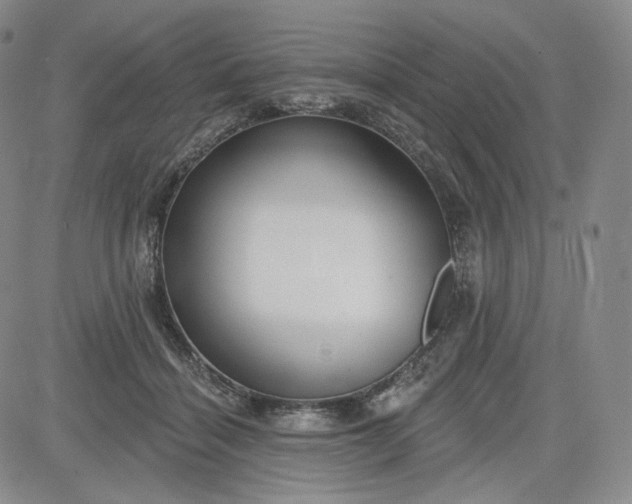 X0000083610460200702260932