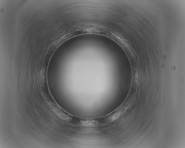 X0000083610461200702260932