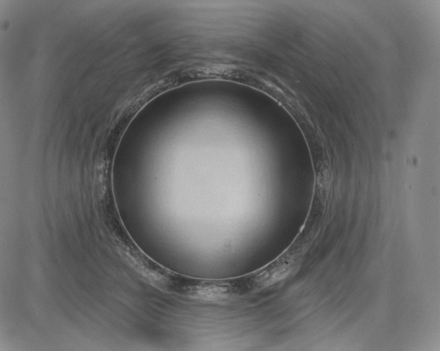 X0000083610462200702260932