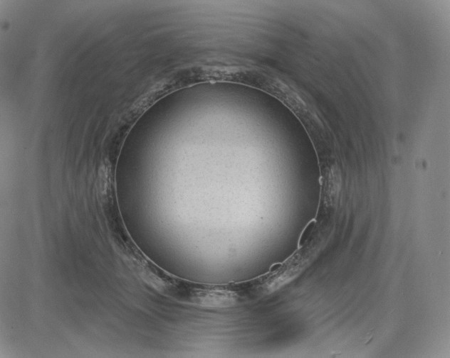 X0000083610463200702260932