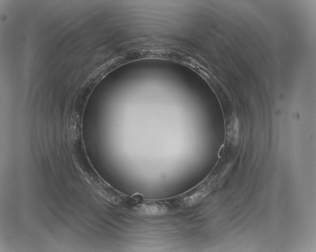 X0000083610464200702260932