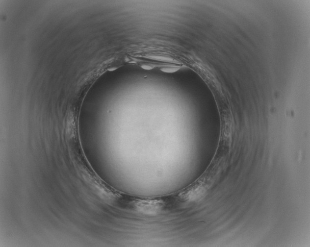 X0000083610465200702260932