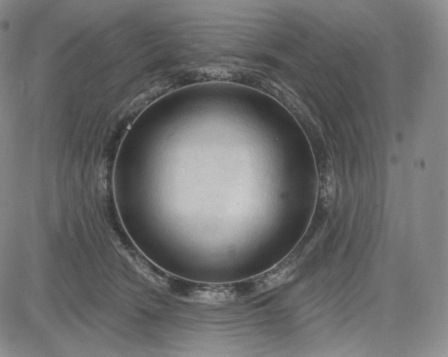 X0000083610466200702260932