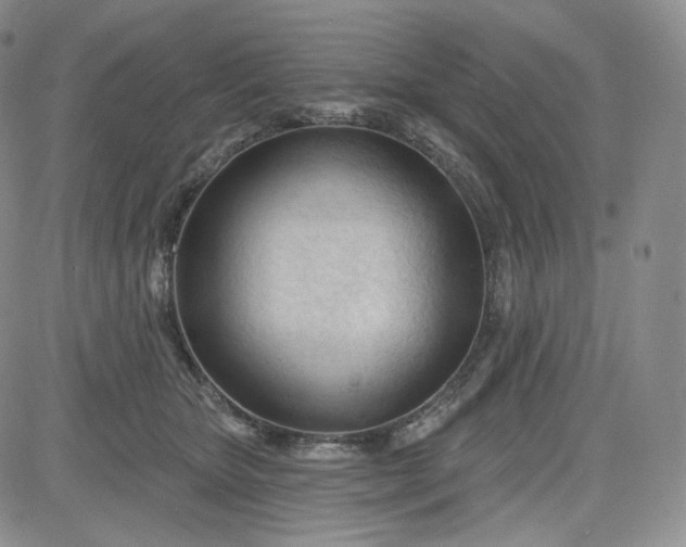 X0000083610467200702260932