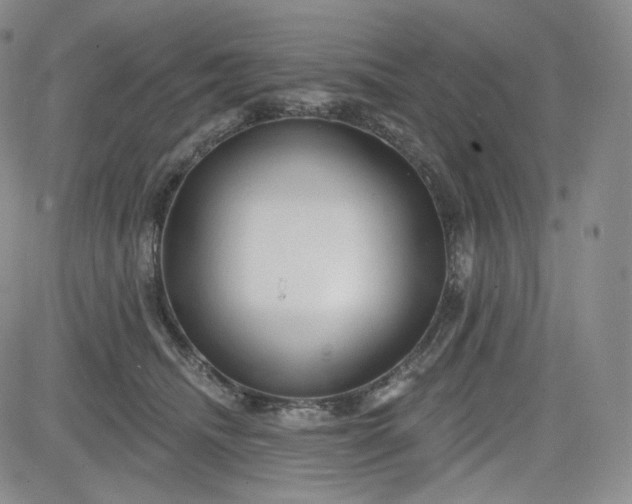 X0000083610468200702260932