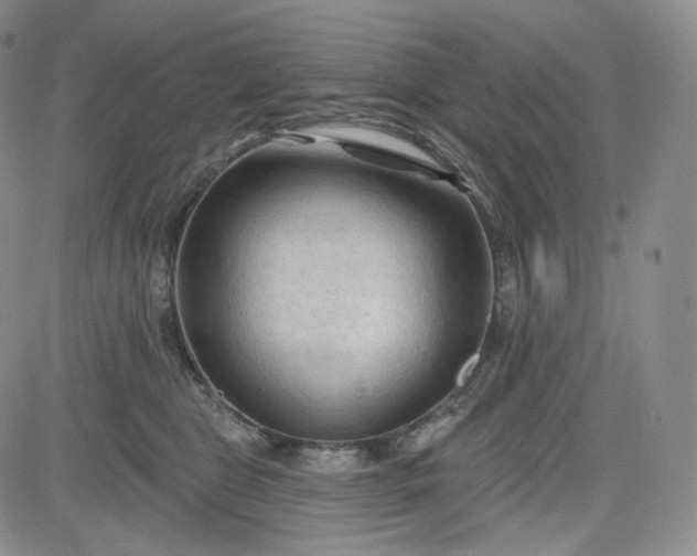 X0000083610469200702260932