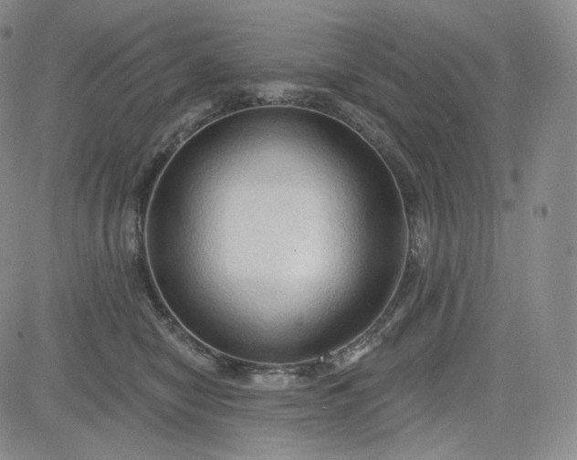 X0000083610470200702260932