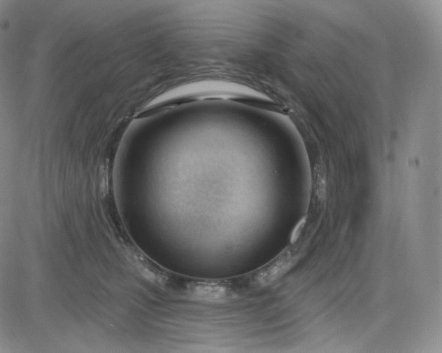 X0000083610471200702260932