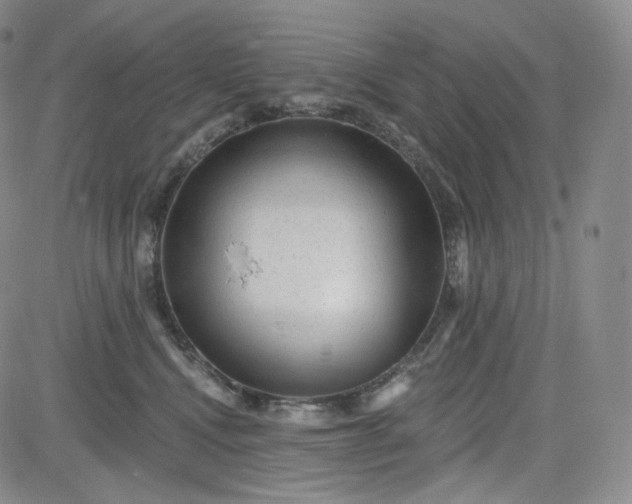 X0000083610472200702260932