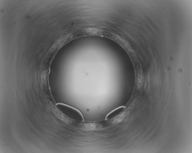 X0000083610473200702260932