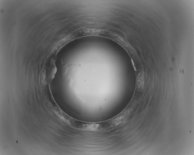 X0000083610474200702260932