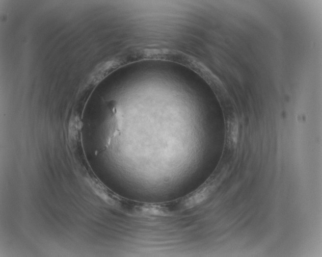 X0000083610475200702260932