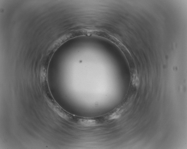 X0000083610476200702260932