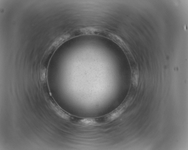 X0000083610477200702260932