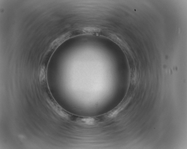 X0000083610478200702260932