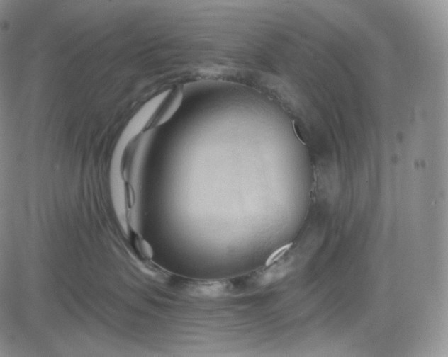 X0000083610479200702260932