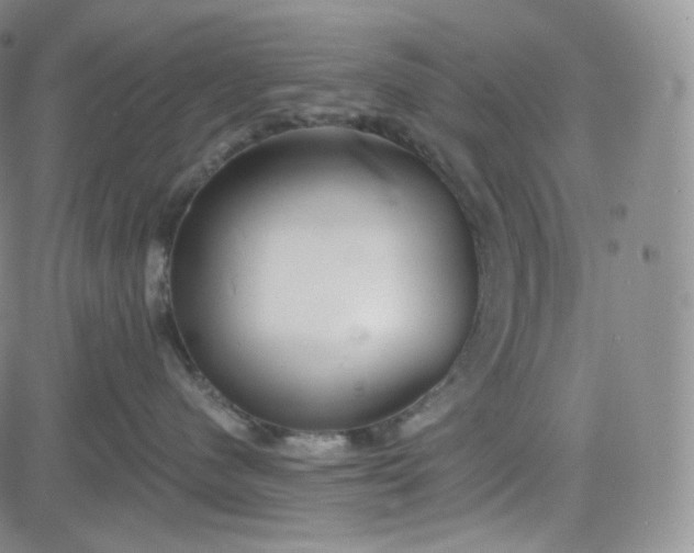 X0000083610480200702260932