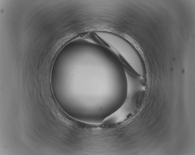 X0000083610481200702260932