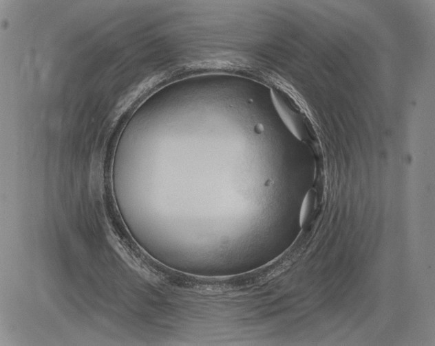 X0000083610482200702260932