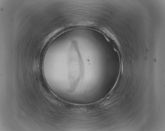 X0000083610483200702260932