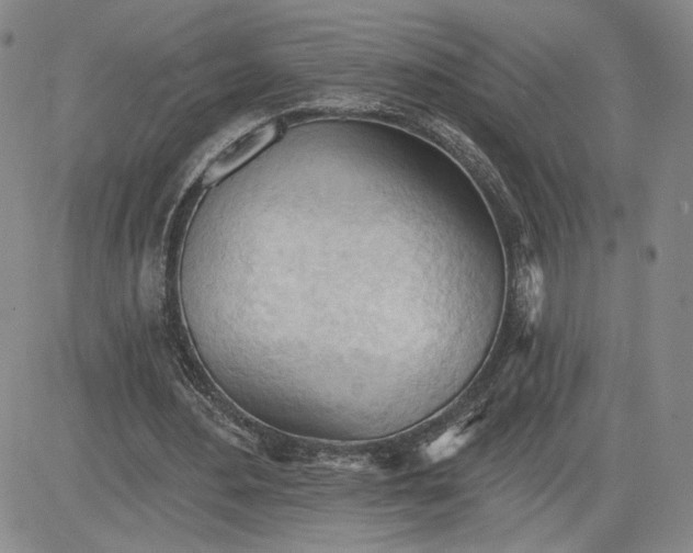 X0000083610484200702260932