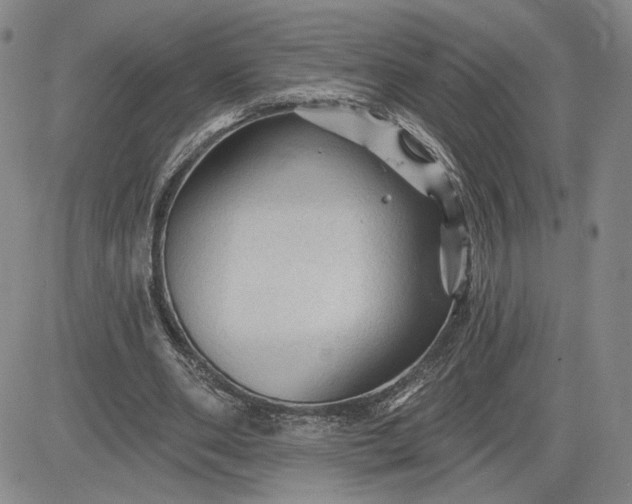 X0000083610486200702260932