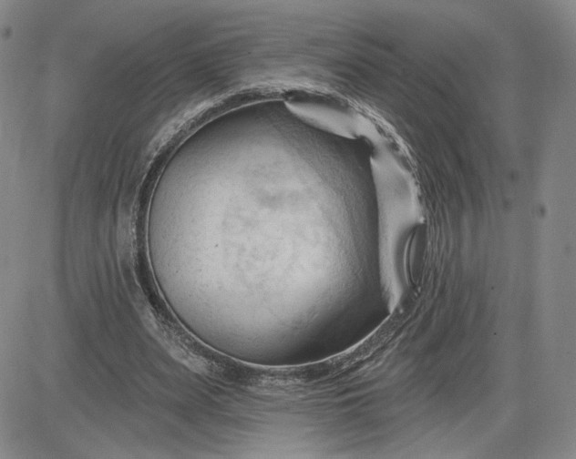 X0000083610487200702260932