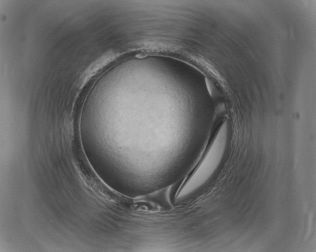 X0000083610488200702260931