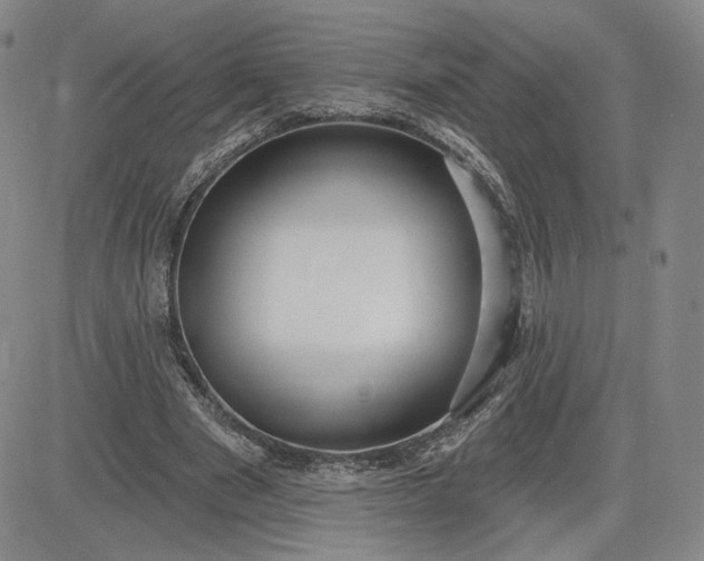 X0000083610489200702260931