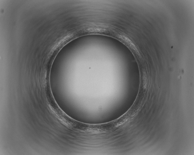 X0000083610490200702260931