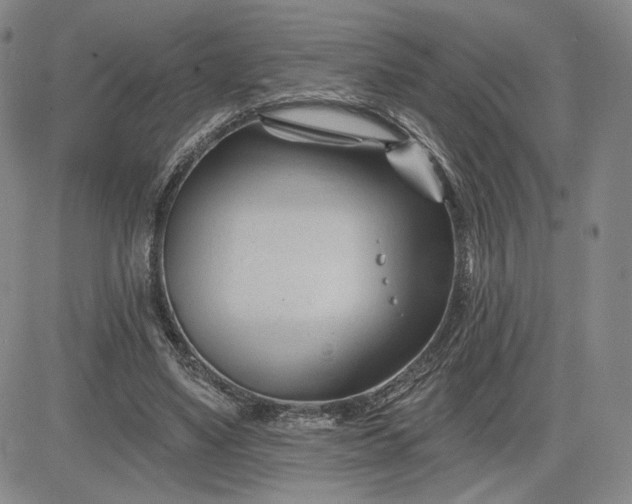 X0000083610491200702260931