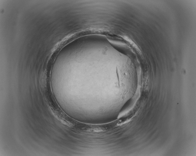 X0000083610492200702260931